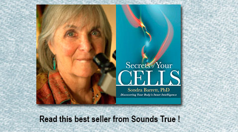 with <b>Sondra Barrett</b> PhD - the Cellular Shaman. Get in touch with 100Trillion ... - projects_25